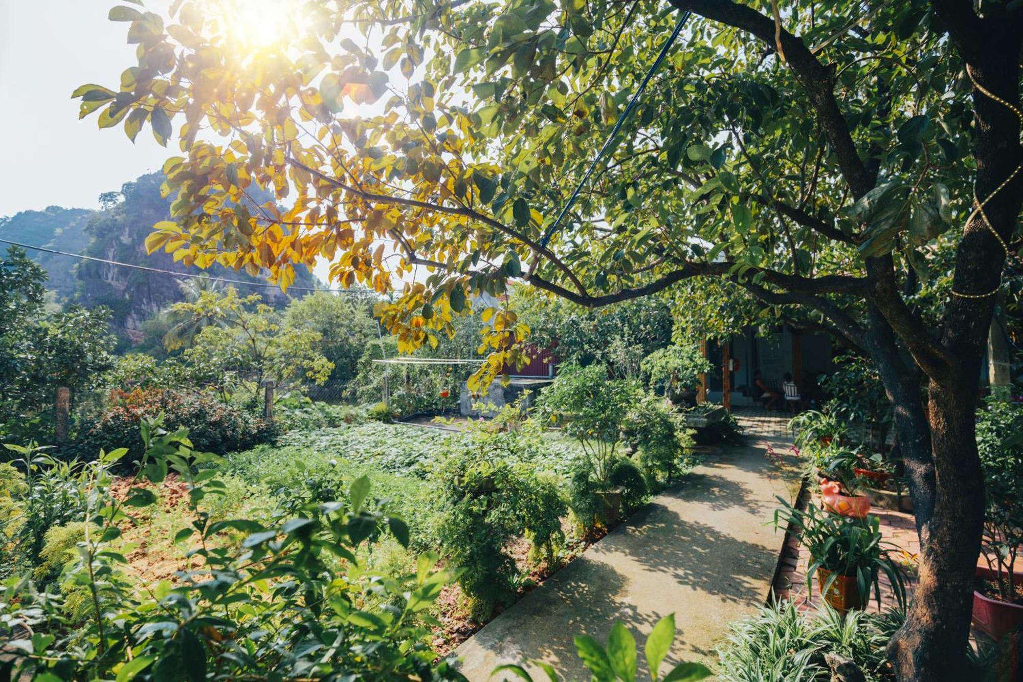Blue Garden Homestay نينه بينه المظهر الخارجي الصورة