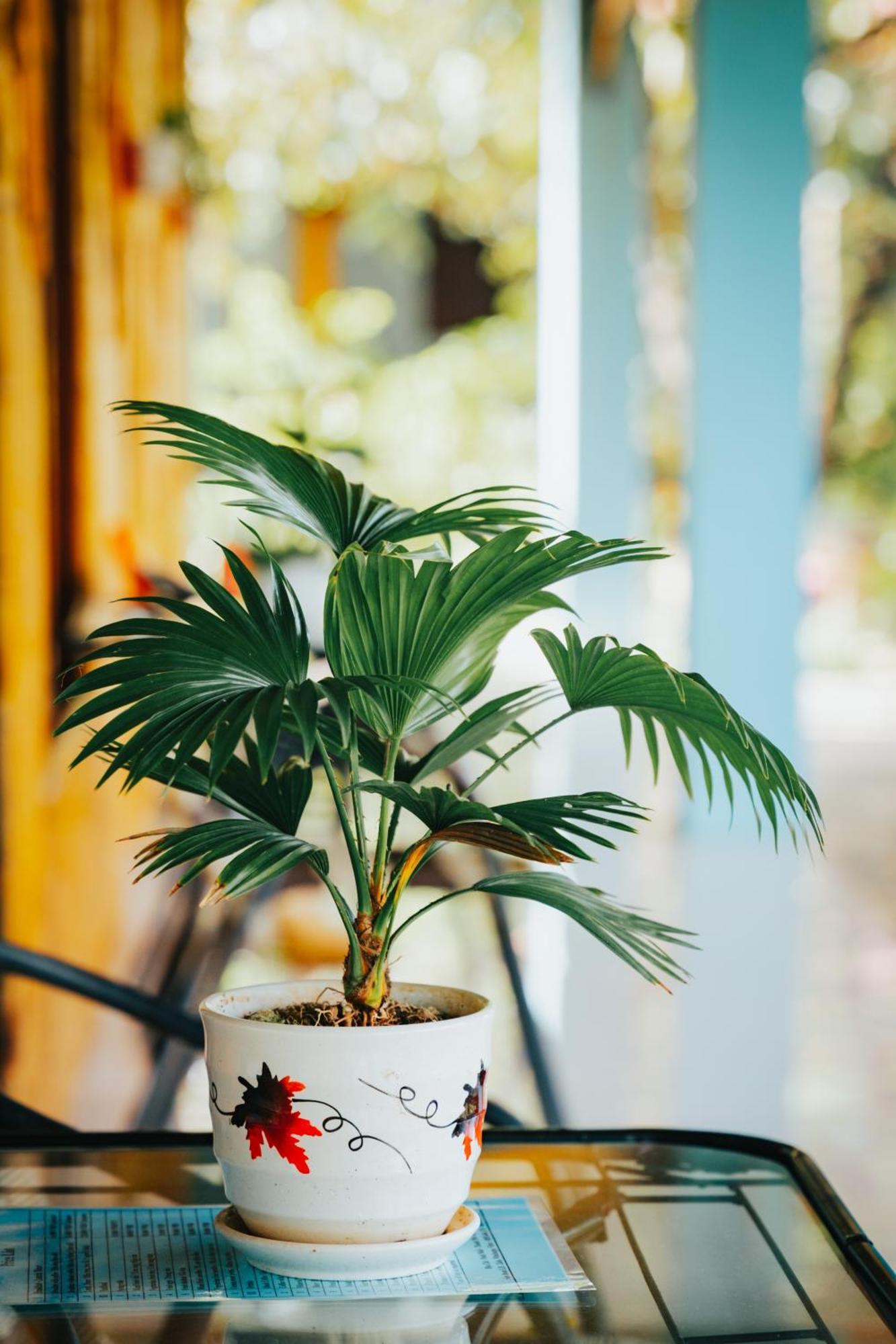 Blue Garden Homestay نينه بينه المظهر الخارجي الصورة