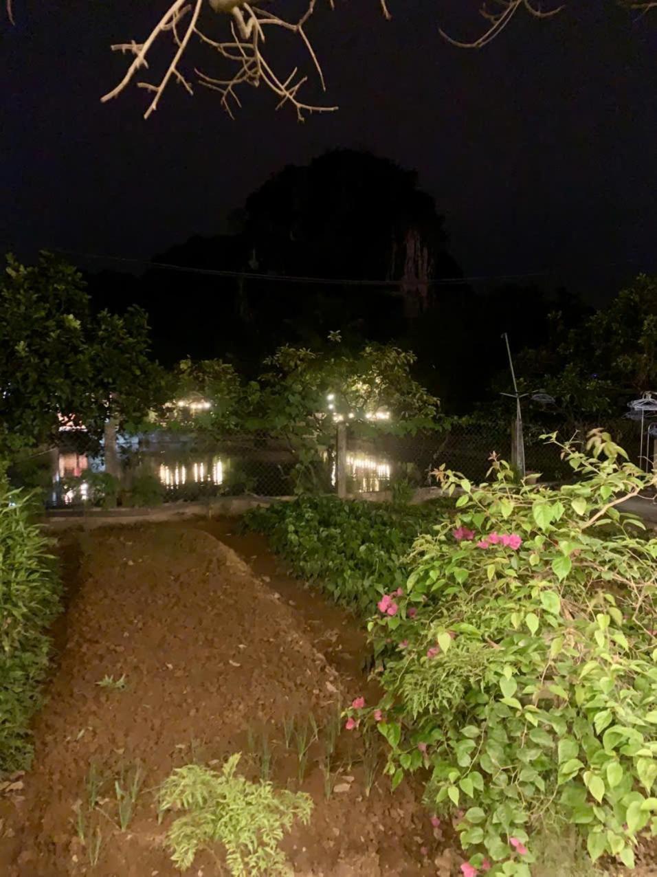 Blue Garden Homestay نينه بينه المظهر الخارجي الصورة