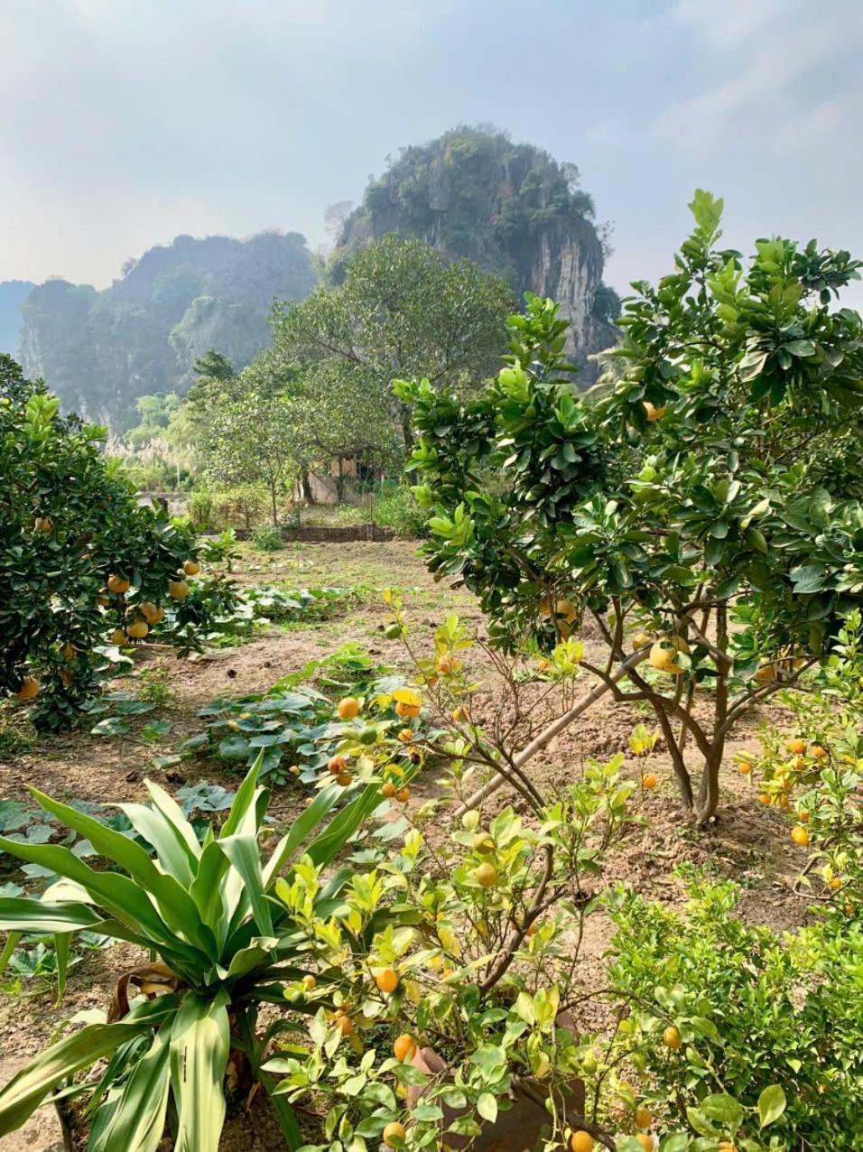 Blue Garden Homestay نينه بينه المظهر الخارجي الصورة