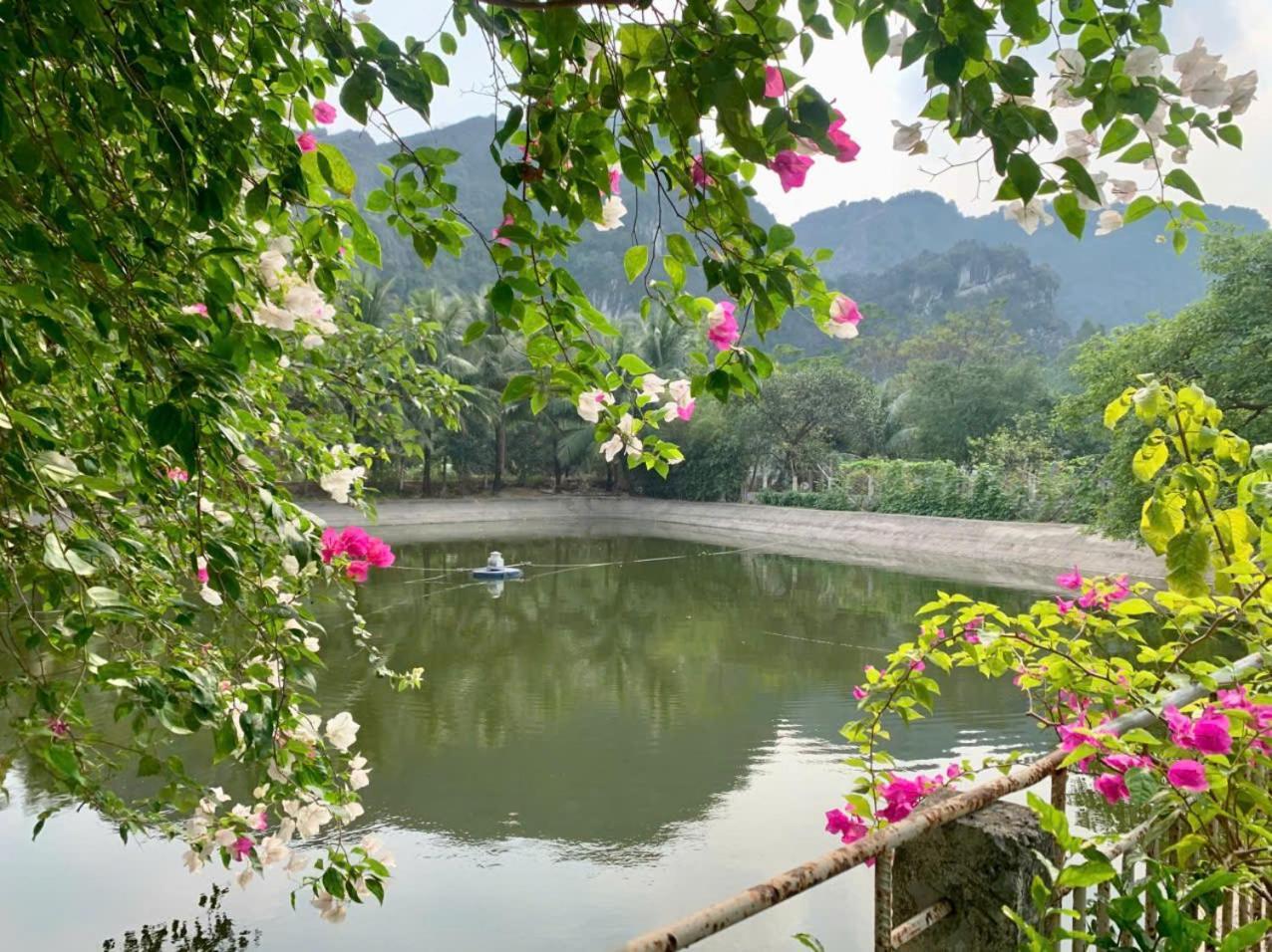 Blue Garden Homestay نينه بينه المظهر الخارجي الصورة