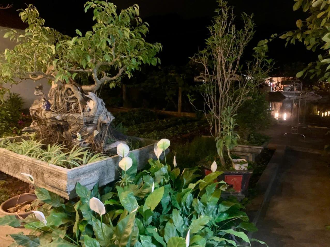 Blue Garden Homestay نينه بينه المظهر الخارجي الصورة