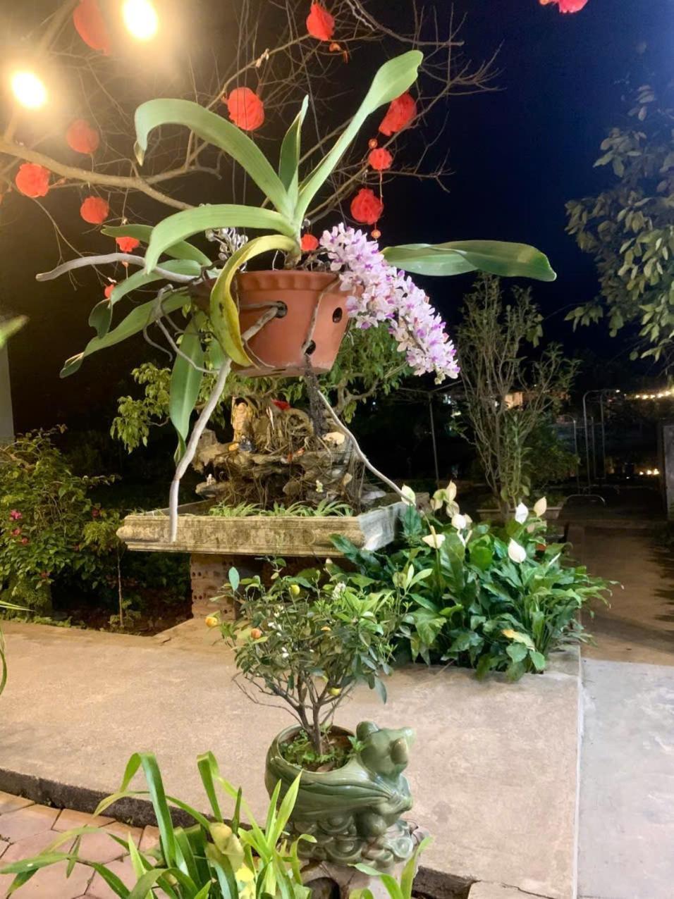 Blue Garden Homestay نينه بينه المظهر الخارجي الصورة