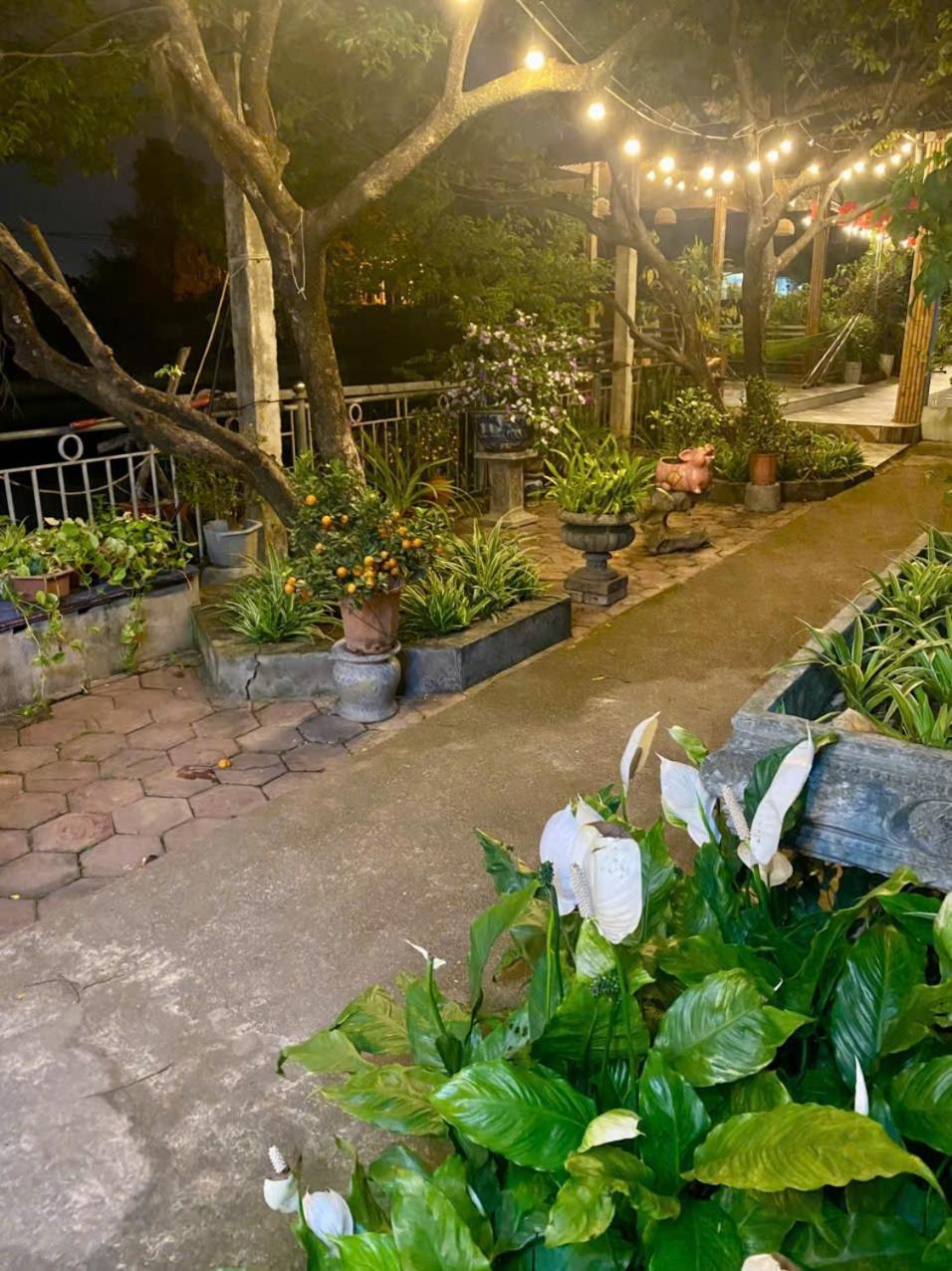 Blue Garden Homestay نينه بينه المظهر الخارجي الصورة