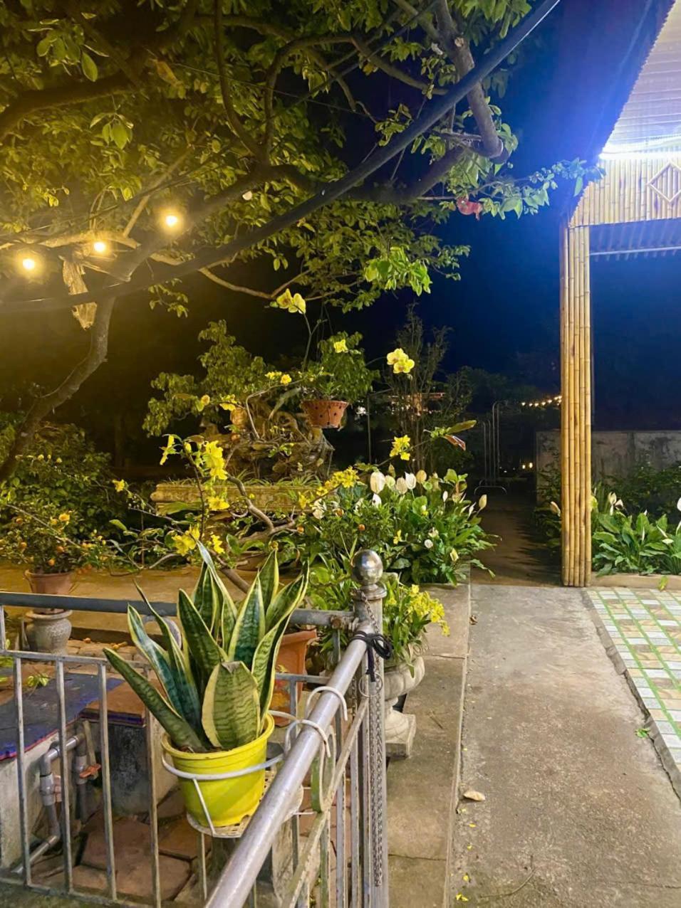 Blue Garden Homestay نينه بينه المظهر الخارجي الصورة
