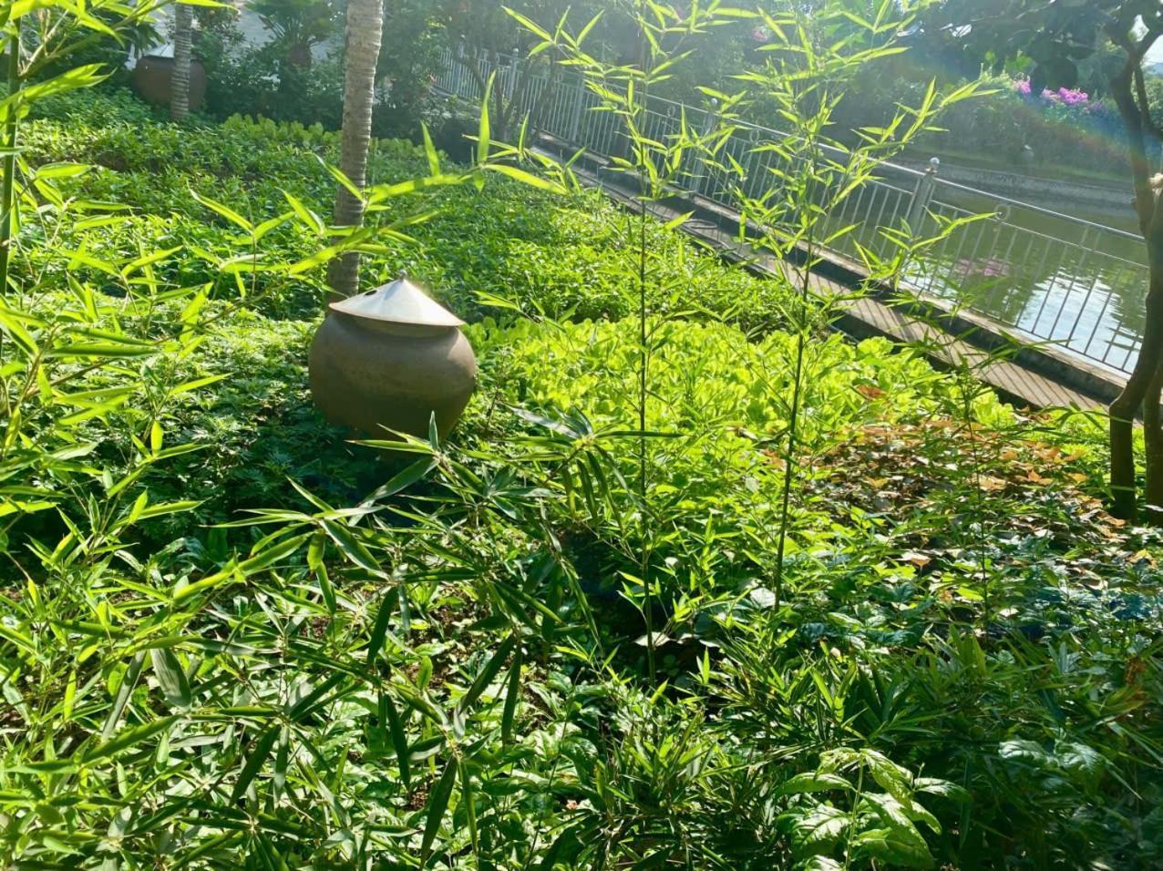 Blue Garden Homestay نينه بينه المظهر الخارجي الصورة